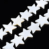 Natural Freshwater Shell Beads Strands SHEL-S278-01D-01-1