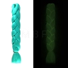 Luminous High Temperature Fiber Long Braids Wig Hair PW-WG01FBE-04-1