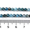 Natural Apatite Beads Strands G-N342-34-5