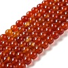 Natural Carnelian Beads Strands G-G390-8mm-03-2