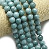 Natural Malaysia Jade Beads Strands G-L645-A01-14mm-12-3