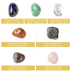 7Pcs Natural Labradorite & Amethyst & Rose Quartz & South Red Agate & Rhodonite & Green Aventurine & Quartz Crystal Tumbled Stone Sets DIY-FS0007-10B-2
