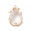 Brass with K9 Glass Pendants X-KK-B071-10G-01-1