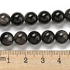 Natural Silver Obsidian Beads Strands G-S150-20A-10MM-5