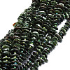 Natural Seraphinite Beads Strands G-E569-K02-1