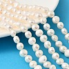 Natural Cultured Freshwater Pearl Beads Strands PEAR-P064-19J-06D-1