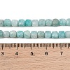 Natural Amazonite Beads Strands G-D0003-B11-01-4