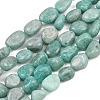 Natural Amazonite Beads Strands G-P606-A01-01-2