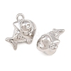 Alloy Charms AL-CBA83D5-22P-2