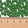 Opaque Colours Glass Seed Beads SEED-C001-02B-10-4