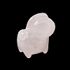 Natural Rose Quartz Carved Beads G-L656-A03-01-2