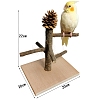 Wood Bird Playground with Pinecone PW-WG55544-03-1