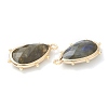 Natural Labradorite Pendants G-B009-02G-G-2