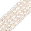 Natural Cultured Freshwater Pearl Beads Strands PEAR-P064-20J-06A-2