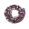 Transparent Glass Beads Strands LS-EGLA-A044-T4mm-MB13-3