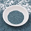 MIYUKI Delica Beads SEED-MY11-DB2316-2