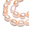 Natural Cultured Freshwater Pearl Beads Strands PEAR-N014-05J-5