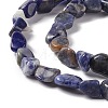 Natural Sodalite Beads Strands G-E115-01-4