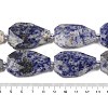 Natural Blue Spot Jasper Beads Strands G-P548-B10-01-4