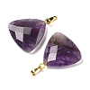 Natural Amethyst Pendants G-L614-D04-G01-2