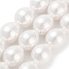 Electroplated Shell Pearl Beads Strands BSHE-H110-01-03-2
