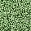 TOHO Round Seed Beads X-SEED-TR08-0560F-2