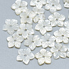 Natural White Shell Beads SSHEL-S260-006-1