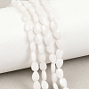 Natural White Moonstone Beads Strands G-A303-A01-01-1