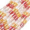 Electroplate Glass Beads Strands EGLA-P068-01A-10-1