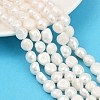 Natural Cultured Freshwater Pearl Beads Strands PEAR-P064-20L-01A-1