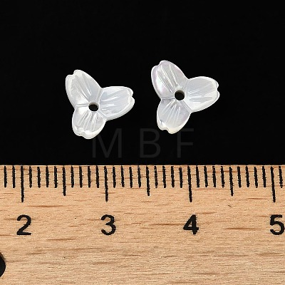 Natural White Shell Beads SSHEL-M022-09-1