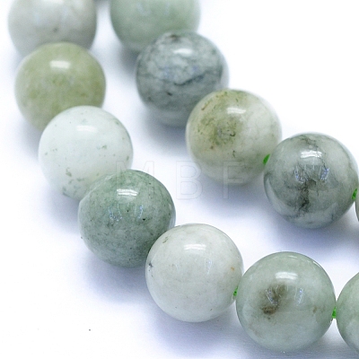 Natural Myanmar Jade/Burmese Jade Beads Strands G-I279-C02-8mm-1