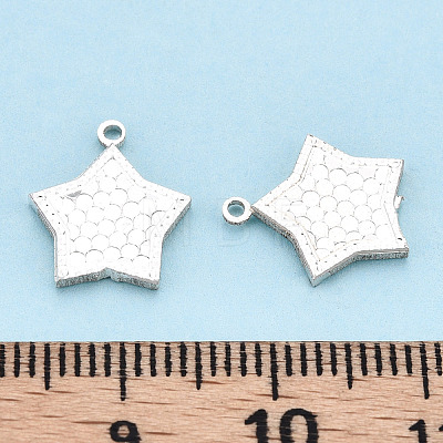 925 Sterling Silver Charms STER-T006-17S-1