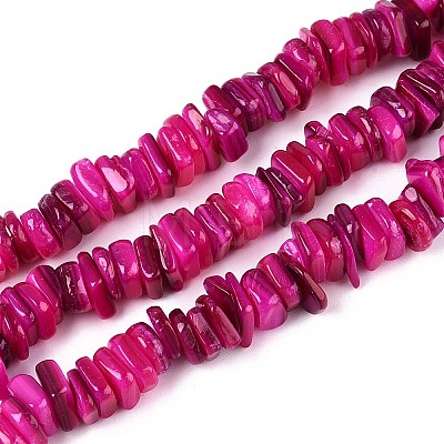 Natural Freshwater Shell Beads Strands SHEL-T020-40A-1
