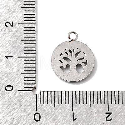 304 Stainless Steel Micro Pave Rhinestone Pendants STAS-G369-11P-1