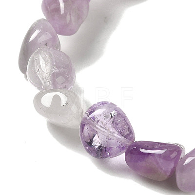 Natural Amethyst Beads Strands G-B078-D12-01-1