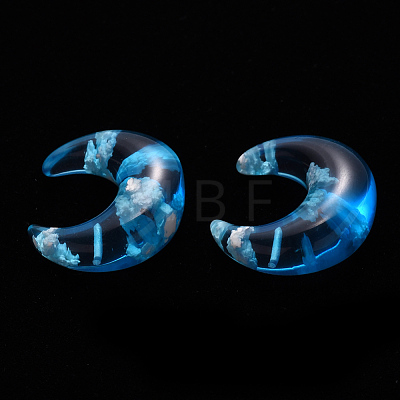 Transparent Epoxy Resin Beads RESI-N024-009C-1
