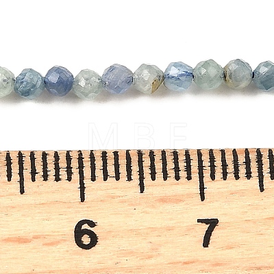 Natural Kyanite/Cyanite/DistheneBeads Strands G-G259-D04-2mm-1