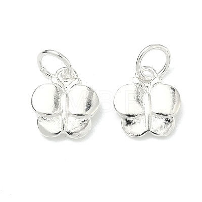 925 Sterling Silver Charms STER-A050-03C-S-1