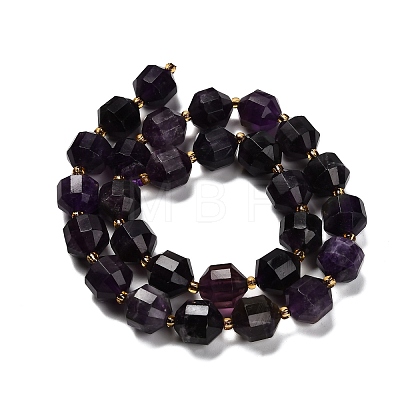 Natural Amethyst Beads Strands G-P568-B02-01-1