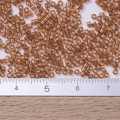 MIYUKI Delica Beads X-SEED-J020-DB0121-1