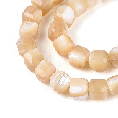 Natural Trochid Shell/Trochus Shell Beads Strands BSHE-T014-52B-01-1