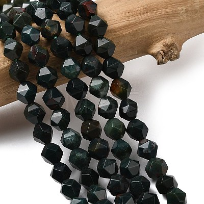Natural Bloodstone/Heliotrope Beads Strands G-Z119-A16-01-1