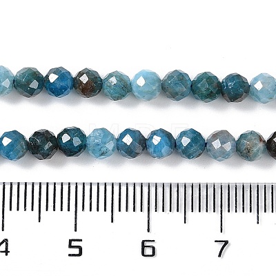 Natural Apatite Beads Strands G-N342-34-1