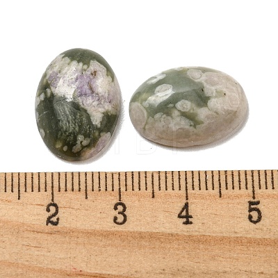 Natural Peace Jade Cabochons G-C115-01A-41-1