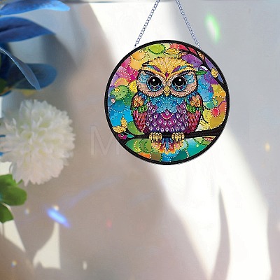 Owl Pattern DIY Diamond Painting Pendant Decoration Kit PW-WG50849-01-1