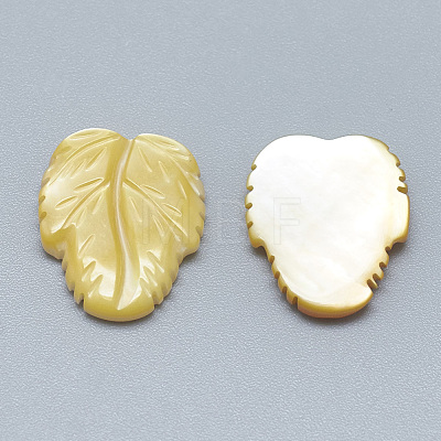 Yellow Shell Cabochons SSHEL-S260-103A-1