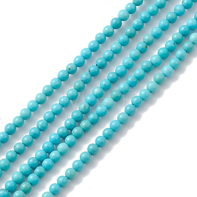 Natural Howlite Beads Strands X-TURQ-K005-01A-1