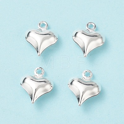 304 Stainless Steel Charms STAS-I138-11A-S-1