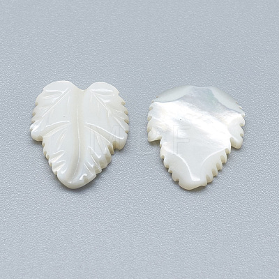 Natural White Shell Mother of Pearl Shell Cabochons SSHEL-S260-103D-1